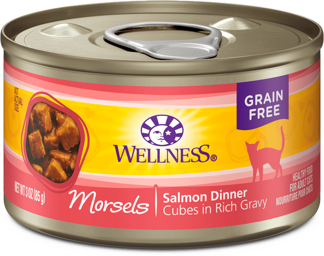 Wellness Complete Health Morsels Salmon Dinner Salmon Dinner